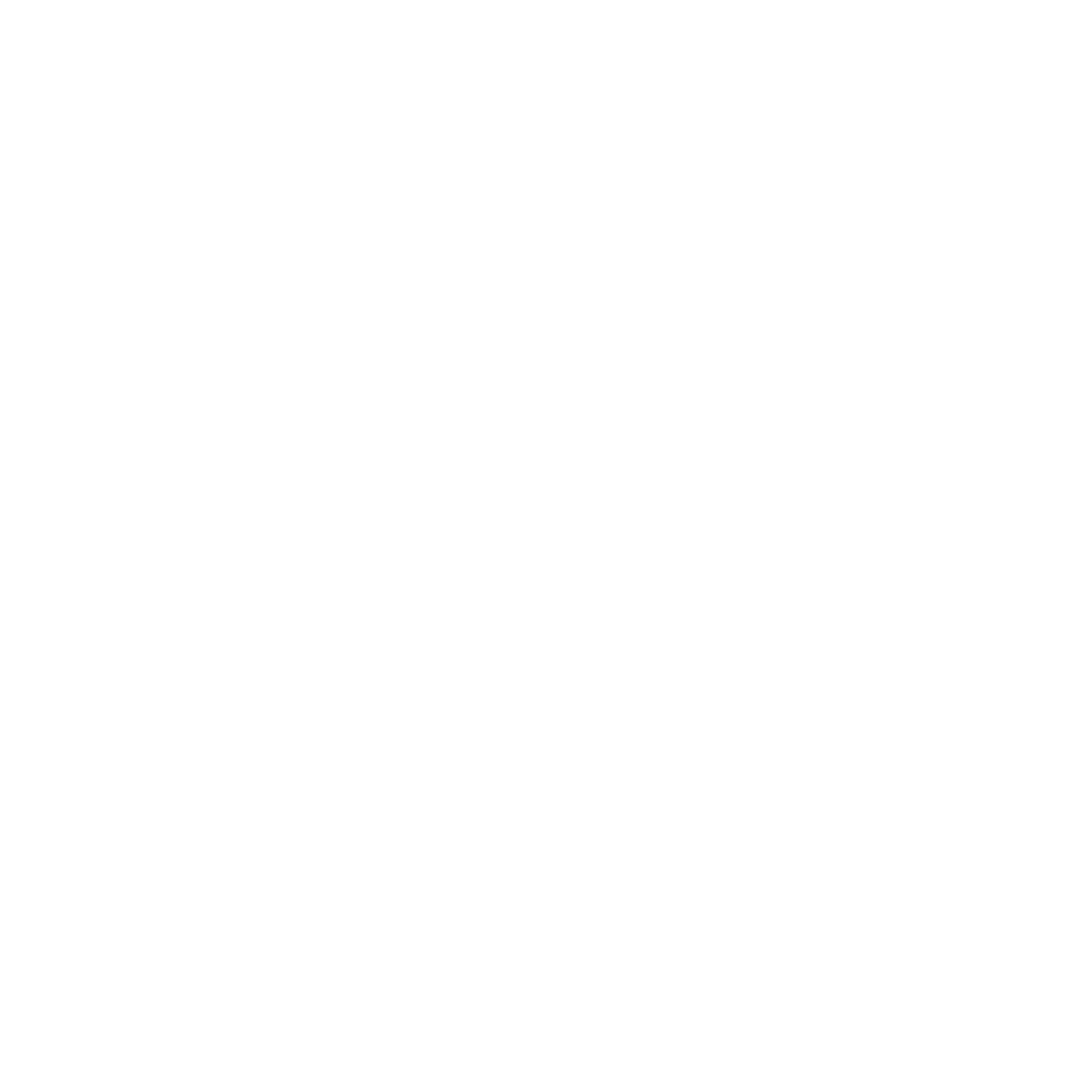 skull icon